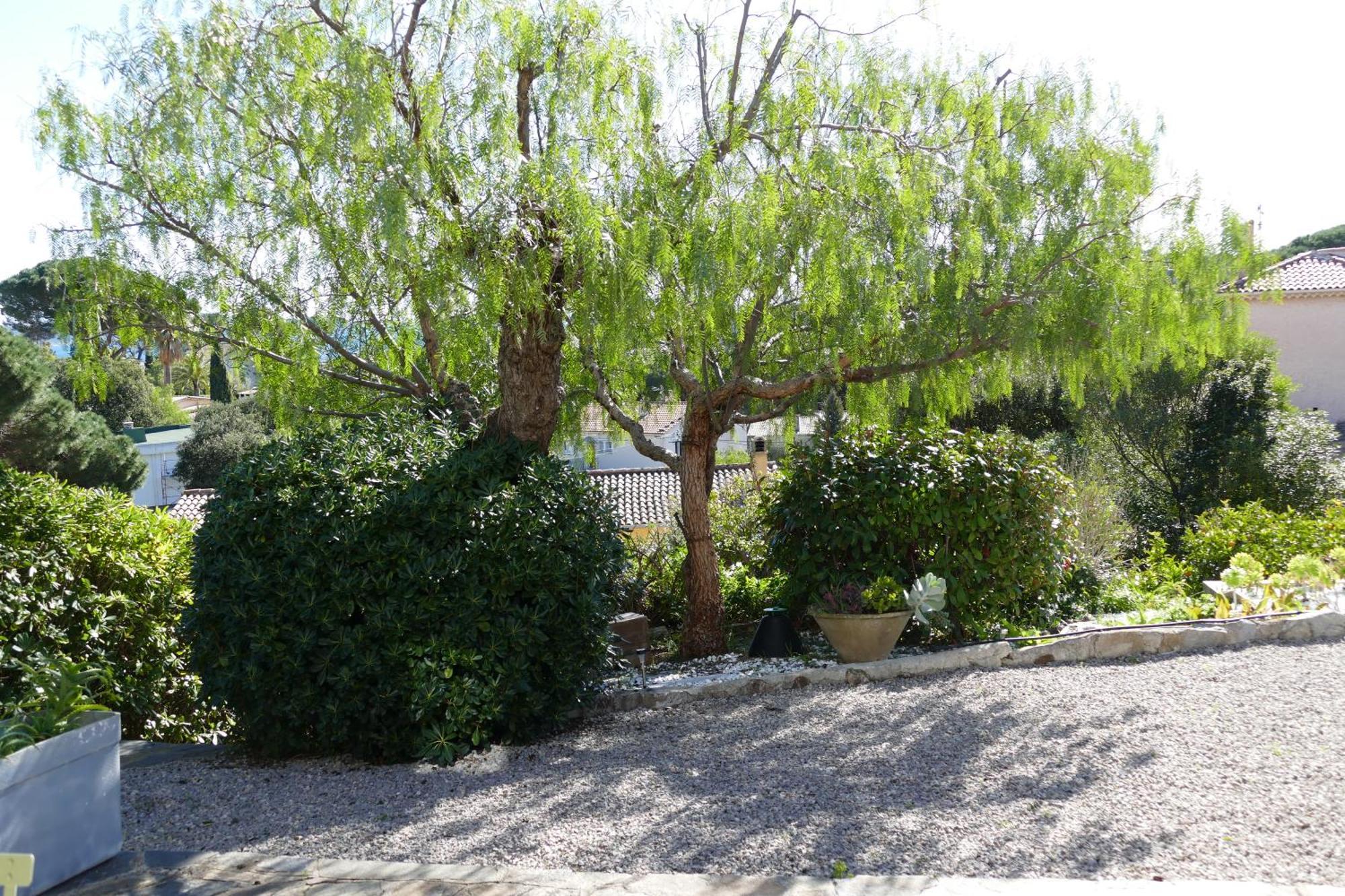 Villa Heliomar Cavalaire-sur-Mer Extérieur photo